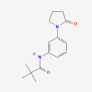 2,2-dimethyl-N-[3-(2-oxopyrrolidin-1-yl)phenyl]propanamide - 