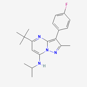 5-tert-butyl-3-(4-fluorophenyl)-2-methyl-N-(propan-2-yl)pyrazolo[1,5-a]pyrimidin-7-amine - 