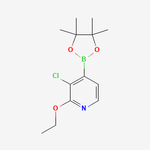 3-Chloro2-ethoxypyridine-4-boronic acid pinacol ester - 2121513-95-7