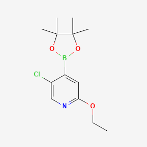 5-Chloro-2-ethoxypyridine-4-boronic acid pinacol ester - 2121513-05-9