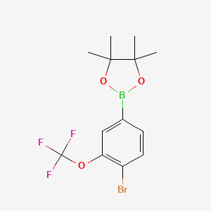 4-Bromo-3-(trifluoromethoxy)phenylboronic acid pinacol ester - 2121511-78-0