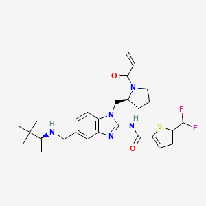 5-(Difluoromethyl)-N-[5-({[(2S)-3,3-dimethylbutan-2-yl]amino}methyl)-1-{[(2S)-1-(prop-2-enoyl)pyrrolidin-2-yl]methyl}-1H-1,3-benzodiazol-2-yl]thiophene-2-carboxamide - 2227198-84-5