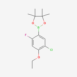 5-Chloro-4-ethoxy-2-fluorophenylboronic acid pinacol ester - 2121513-68-4