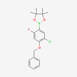4-Benzyloxy-5-chloro-2-fluorophenylboronic acid pinacol ester - 2121514-89-2