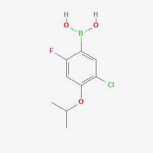 5-Chloro-2-fluoro-4-isopropoxyphenylboronic acid - 2121511-67-7