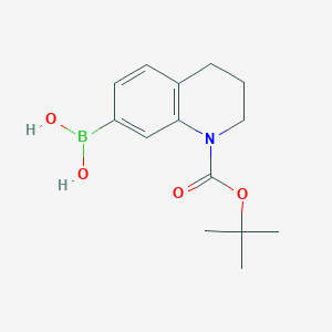(1-(tert-Butoxycarbonyl)-1,2,3,4-tetrahydroquinolin-7-yl)boronic acid - 1926137-46-3