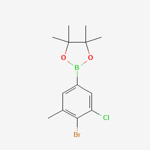4-Bromo-3-chloro-5-methylphenylboronic acid pinacol ester - 2096341-75-0