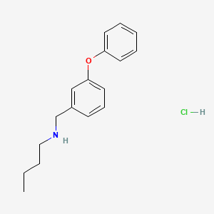 Butyl[(3-phenoxyphenyl)methyl]amine hydrochloride - 1240568-32-4