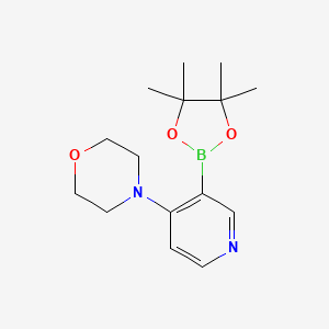 4-Morpholinopyridine-3-boronic acid pinacol ester - 2096333-47-8