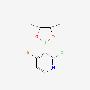 4-Bromo-2-chloropyridine-3-boronic acid pinacol ester - 2121514-27-8