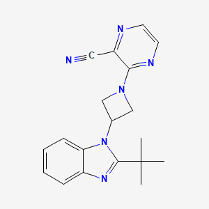 3-[3-(2-tert-butyl-1H-1,3-benzodiazol-1-yl)azetidin-1-yl]pyrazine-2-carbonitrile - 2549024-35-1