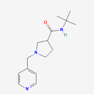 N-tert-butyl-1-[(pyridin-4-yl)methyl]pyrrolidine-3-carboxamide - 2640902-97-0