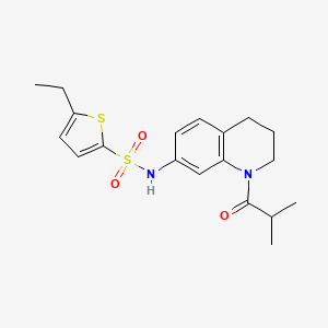 5-ethyl-N-[1-(2-methylpropanoyl)-1,2,3,4-tetrahydroquinolin-7-yl]thiophene-2-sulfonamide - 1005301-08-5