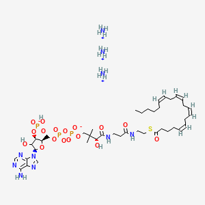 (5Z,8Z,11Z,14Z-eicosatetraenoyl) Coenzyme A (ammonium salt) - 799812-93-4