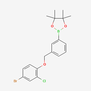 2-(3-((4-Bromo-2-chlorophenoxy)methyl)phenyl)-4,4,5,5-tetramethyl-1,3,2-dioxaborolane - 2246646-61-5