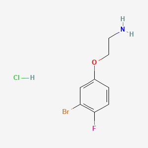 2-(3-bromo-4-fluorophenoxy)ethan-1-amine hydrochloride - 2839156-58-8