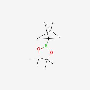 4,4,5,5-Tetramethyl-2-{3-methylbicyclo[1.1.1]pentan-1-yl}-1,3,2-dioxaborolane - 