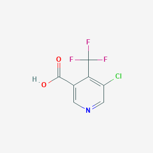 5-Chloro-4-(trifluoromethyl)nicotinic acid - 796090-28-3