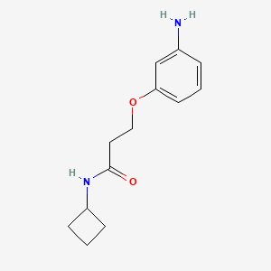 3-(3-aminophenoxy)-N-cyclobutylpropanamide - 
