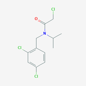 2-Chloro-N-(2,4-dichloro-benzyl)-N-isopropyl-acetamide - 