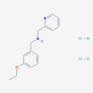 1-(3-ethoxyphenyl)-{N}-(pyridin-2-ylmethyl)methanamine - 