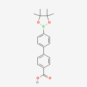 4'-Borono-[1,1'-biphenyl]-4-carboxylic acid pinacol ester - 