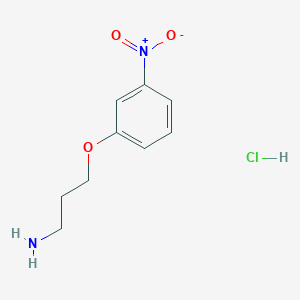 3-(3-Nitrophenoxy)propylamine HCl - 