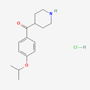 (4-Isopropoxy-phenyl)-piperidin-4-yl-methanone hydrochloride - 
