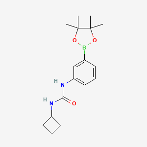 1-Cyclobutyl-3-[3-(4,4,5,5-tetramethyl-[1,3,2]dioxaborolan-2-yl)-phenyl]-urea - 