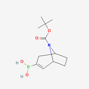 8-Boc-8-aza-bicyclo[3.2.1]oct-2-ene-3-boronic acid - 