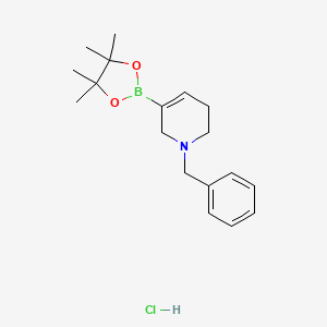 [1-Benzyl-1,2,5,6-tetrahydropyridine-3-yl]boronic acid pinacol ester hydrochloride - 
