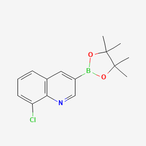 8-Chloro-3-(4,4,5,5-tetramethyl-1,3,2-dioxaborolan-2-yl)quinoline - 