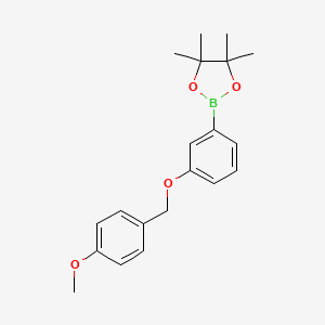 2-(3-((4-Methoxybenzyl)oxy)phenyl)-4,4,5,5-tetramethyl-1,3,2-dioxaborolane - 