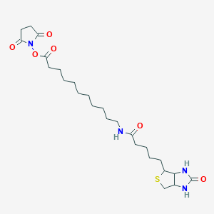 2,5-Dioxopyrrolidin-1-yl 11-(5-(2-oxohexahydro-1H-thieno[3,4-d]imidazol-4-yl)pentanamido)undecanoate - 