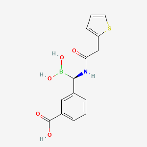 (1R)-1-(2-Thienylacetylamino)-1-(3-carboxyphenyl)methylboronic acid - 497258-67-0