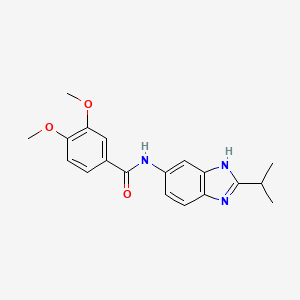 3,4-dimethoxy-N-[2-(propan-2-yl)-1H-benzimidazol-5-yl]benzamide - 