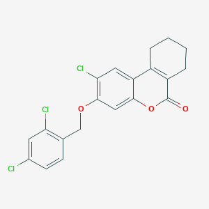 2-chloro-3-[(2,4-dichlorobenzyl)oxy]-7,8,9,10-tetrahydro-6H-benzo[c]chromen-6-one - 