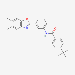 4-tert-butyl-N-[3-(5,6-dimethyl-1,3-benzoxazol-2-yl)phenyl]benzamide - 