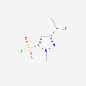 3-(difluoromethyl)-1-methyl-1H-pyrazole-5-sulfonyl chloride - 