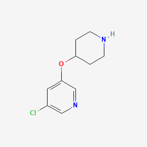 3-Chloro-5-(piperidin-4-yloxy)pyridine - 