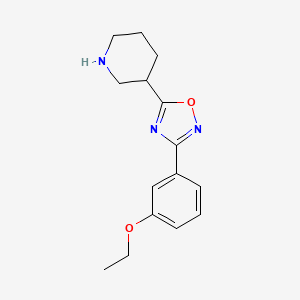 3-(3-Ethoxyphenyl)-5-(piperidin-3-yl)-1,2,4-oxadiazole - 