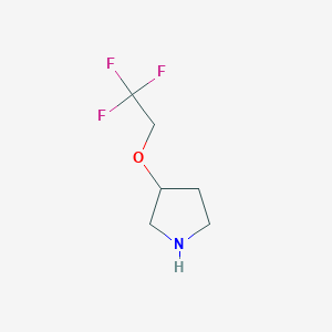 3-(2,2,2-Trifluoroethoxy)pyrrolidine - 