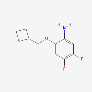2-(Cyclobutylmethoxy)-4,5-difluoroaniline - 