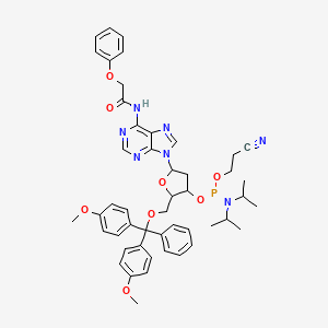 2'-Deoxy-5'-O-DMT-N6-phenoxyacetyladenosine 3'-CE phosphoraMidite - 