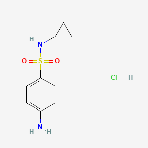 4-amino-N-cyclopropylbenzene-1-sulfonamide hydrochloride - 1221724-29-3