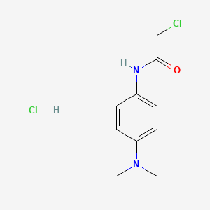 2-chloro-N-[4-(dimethylamino)phenyl]acetamide hydrochloride - 1093268-35-9