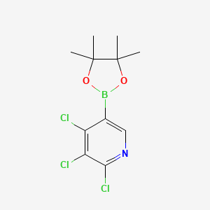 2,3,4-Trichloropyridine-5-boronic acid pinacol ester - 2121514-82-5