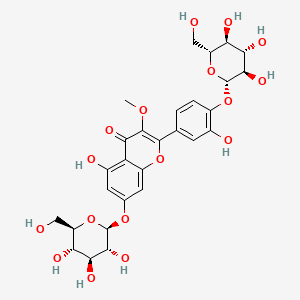3-O-methylquercetin 7-O-beta-glucopyranosyl-4'-O-beta-D-glucopyranoside - 47858-32-2