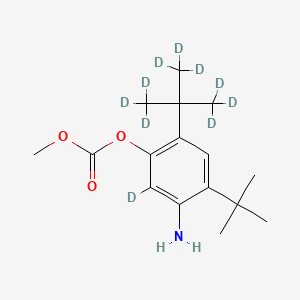 5-Amino-2,4-di-tert-butylphenyl methyl carbonate-d10 - 