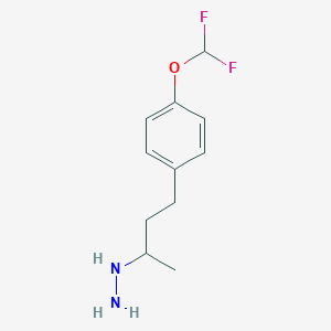1-(4-[4-(Difluoromethoxy)phenyl]butan-2-YL)hydrazine - 1016678-92-4